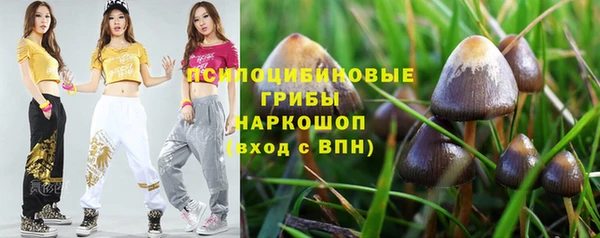 скорость Корсаков